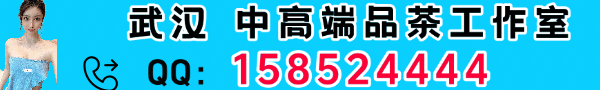 春季新品主推